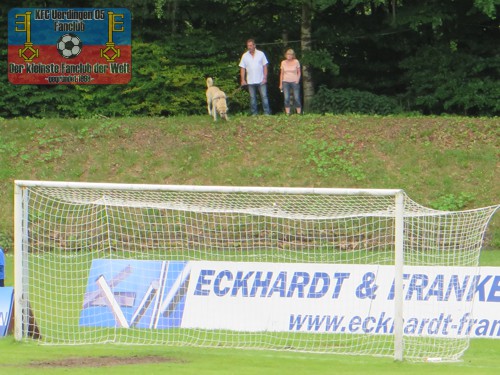 Spazierengehen mit dem Hund im Velberter Stadion