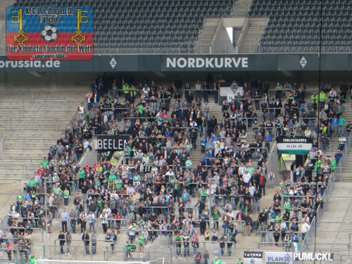 Gladbacher Anhänher im heimischen Borussia-Park