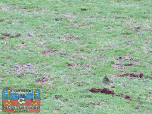 Acker im Grotenburg-Stadion