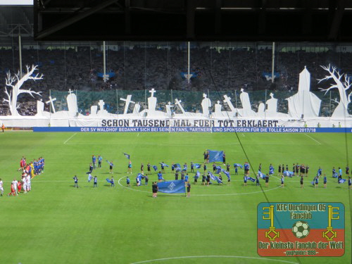 Choreo auf Seiten des SV Waldhof Mannheim